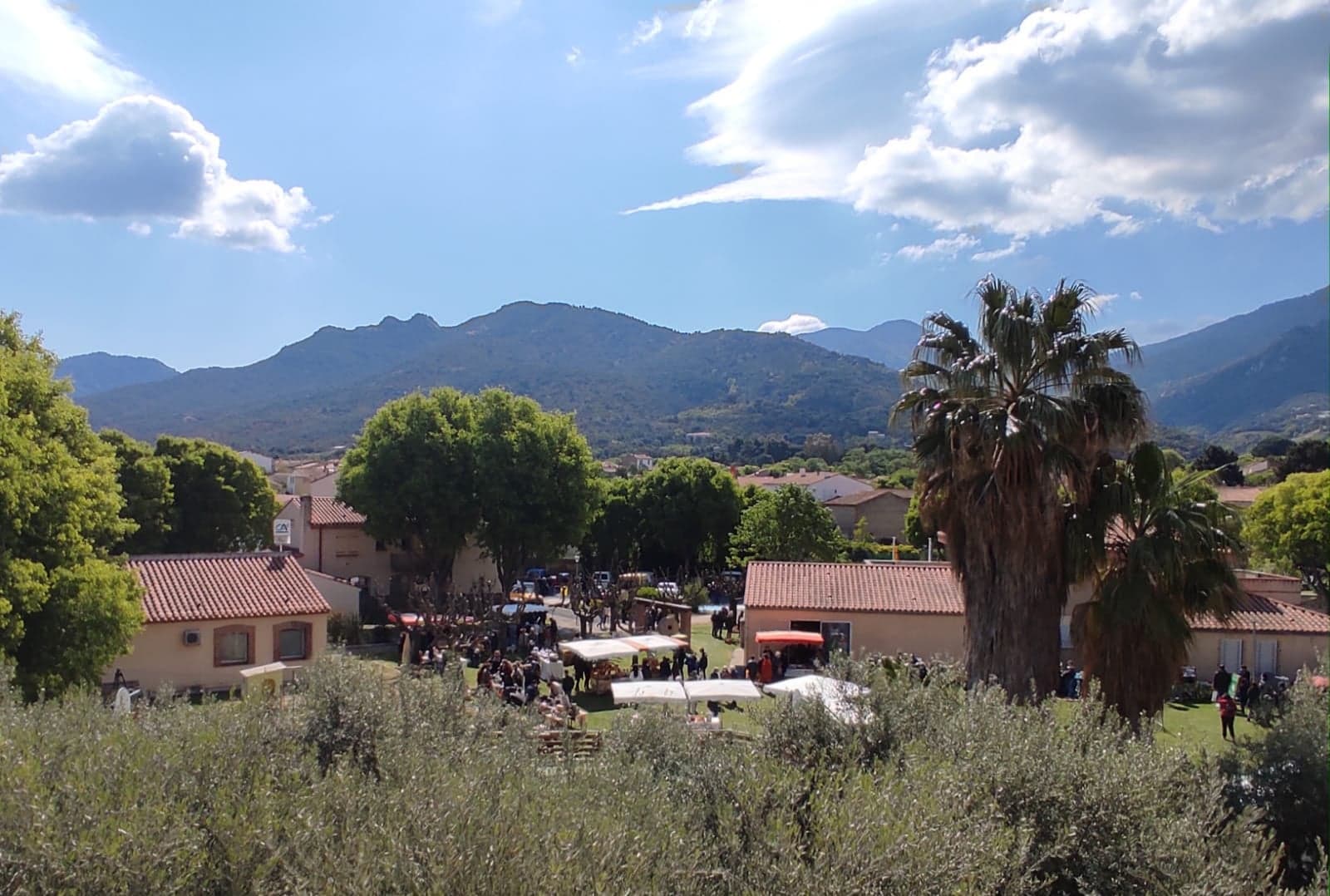 20EME FETE DE L'HUILE D'OLIVE ET PRODUITS DU TERROIR