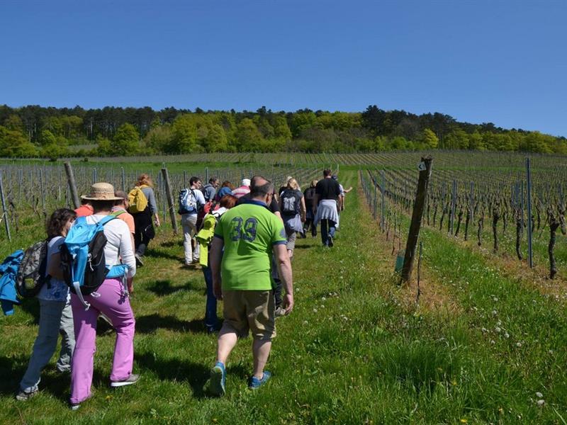 20eme Promenade des fines bouches