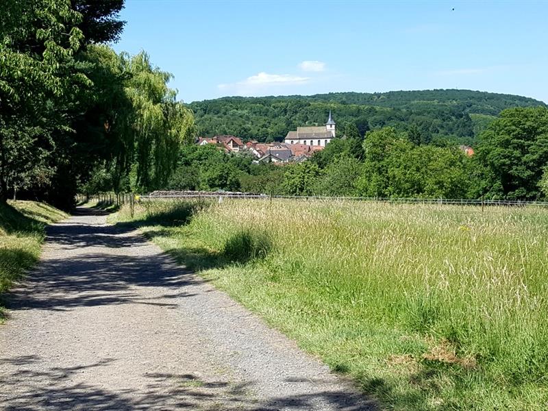 22ème Randonnée gourmande Ottrottoise