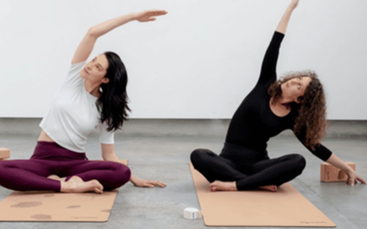 30h - Formation "Yogathérapie et douleurs" Yoga Vision  Paris