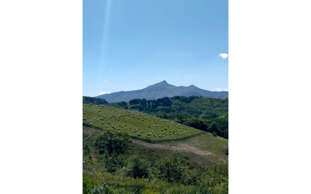 A la découverte de la Corniche basque, Espace Naturel Sensible à Urrugne: Paysages agricoles entre montagne et océan. rue Notre-Dame de Socorri Urrugne