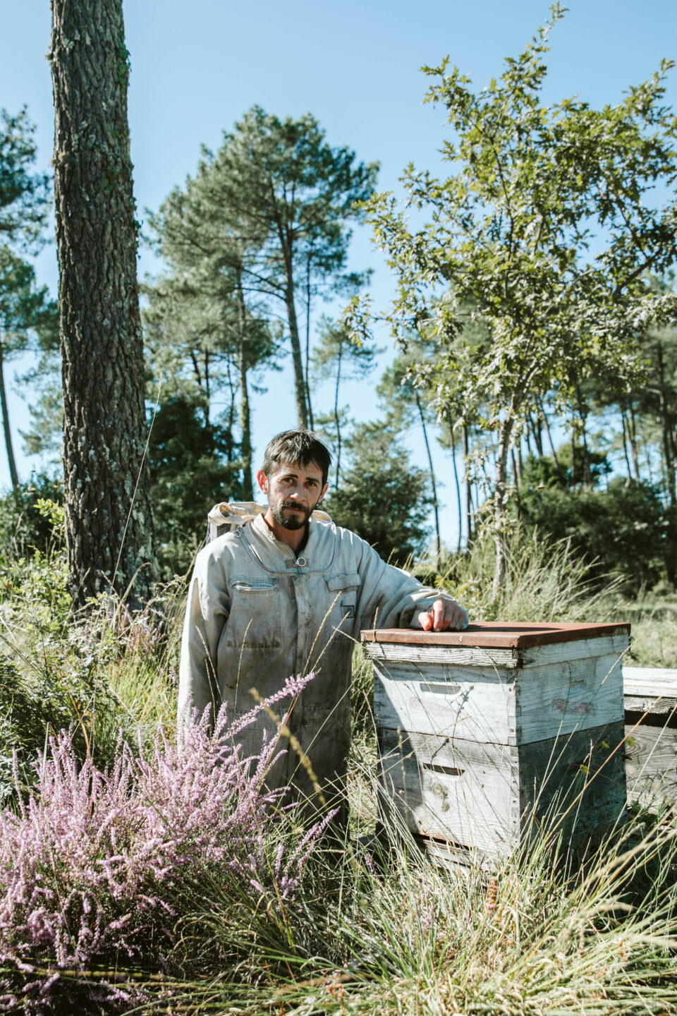 à la découverte des abeilles avec Jérémie