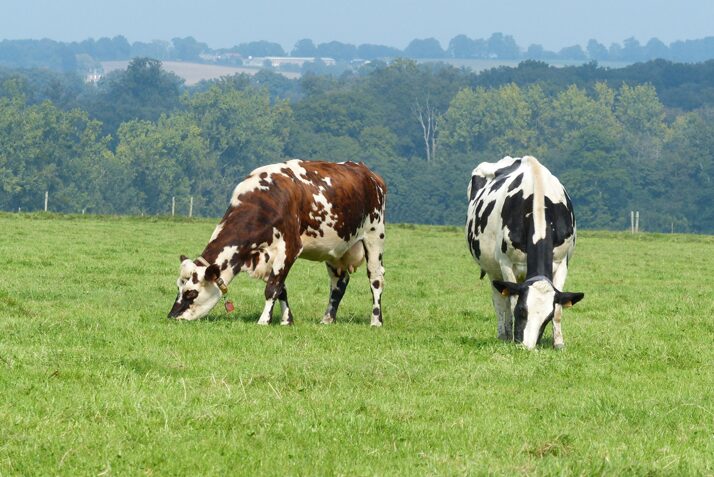 agriculture Jean Louis Peyraud
