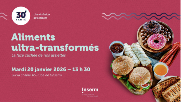 Aliments ultra-transformes : la face cachee de nos assiettes HEC Alumni Paris