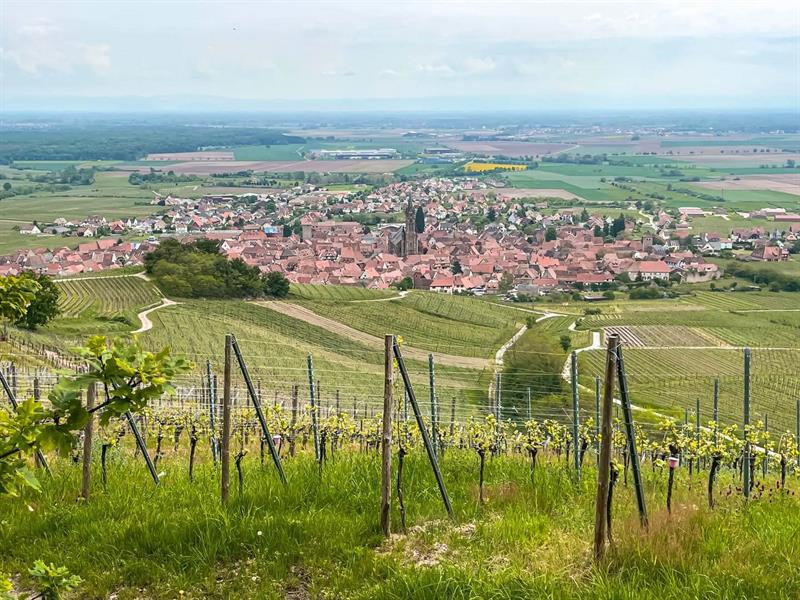 ALSACE ROCKS ! La Tournée des Terroirs Etape #7