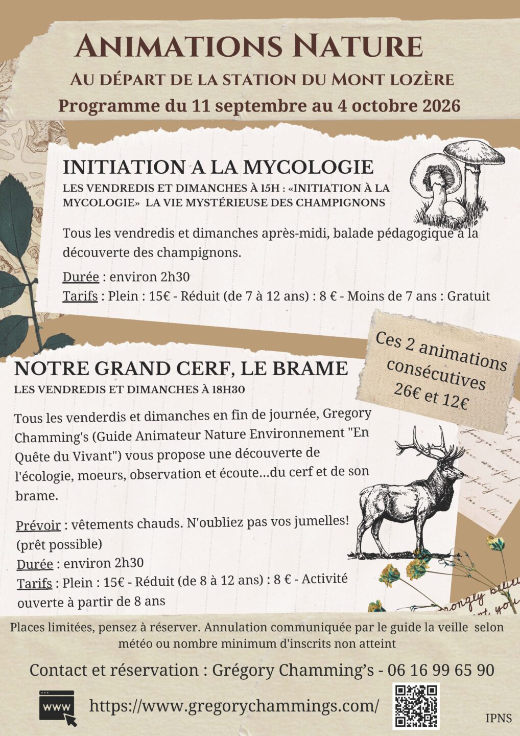 ANIMATION NATURE BRAME DU CERF