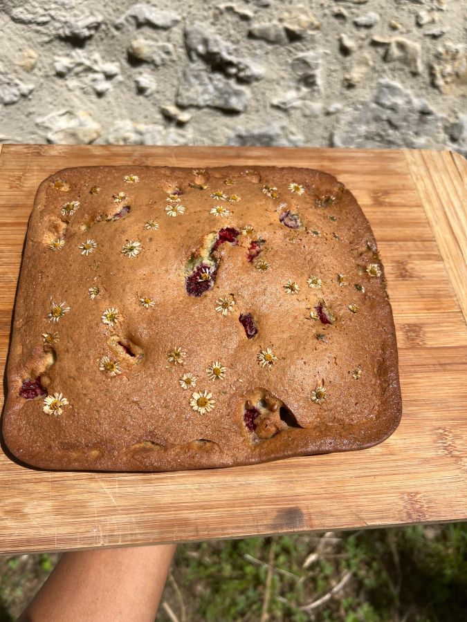 Animation nature en famille Cuisine Sauvage