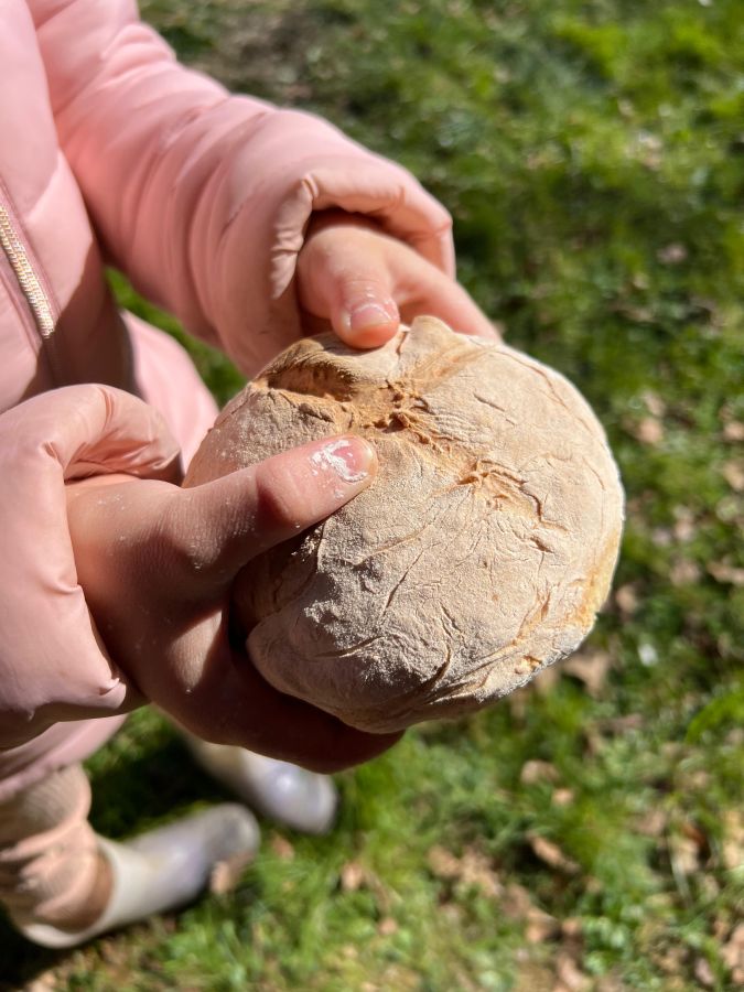 Animation nature en famille Tissage Végétal