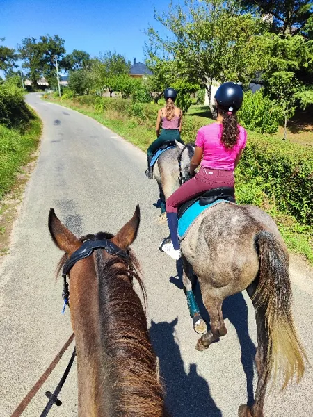 Animations du club équestre Diplodocus