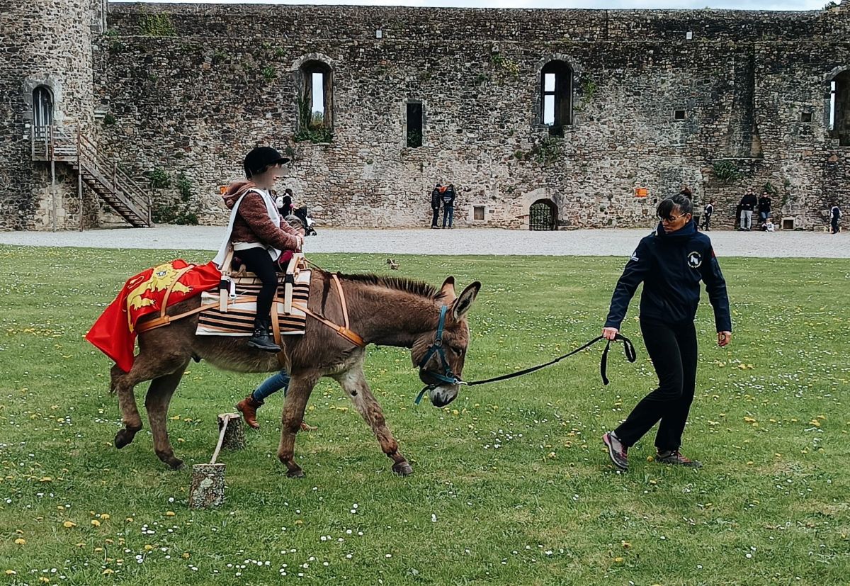Atelier jeune public Les Olympiades du Moyen-âge