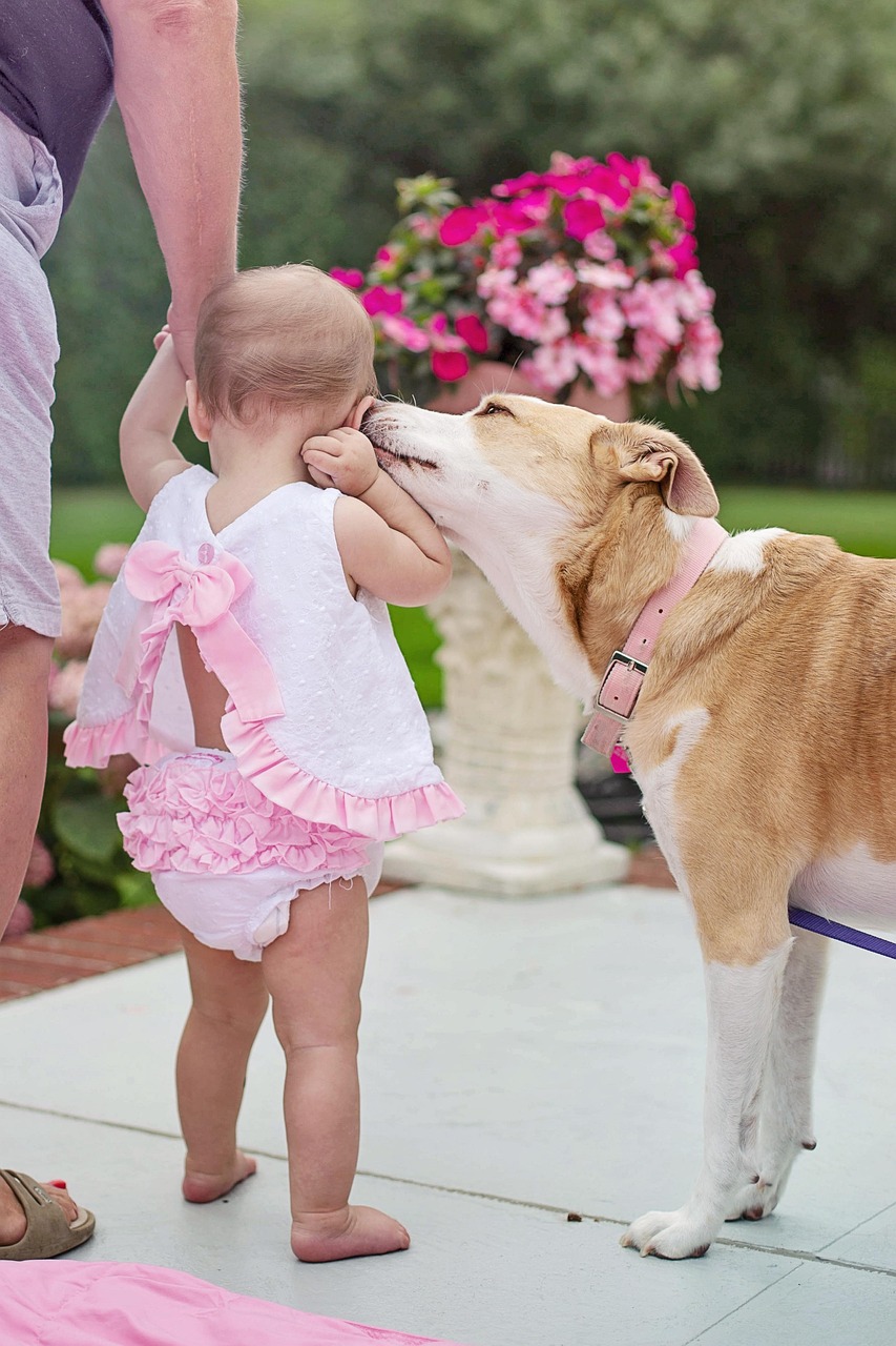 Atelier Médiation animale avec l'association l'atelier des Loutres