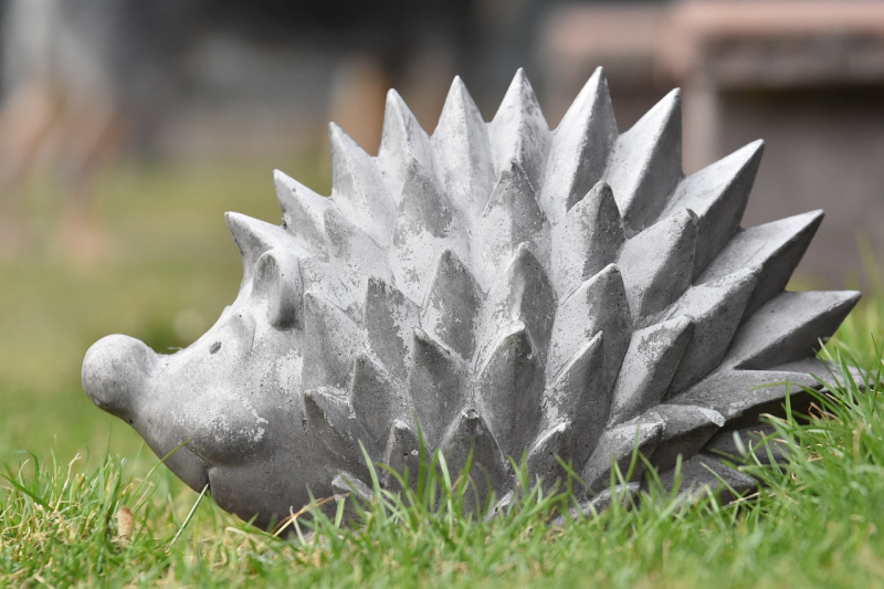 Atelier modelage les petits animaux d'hiver