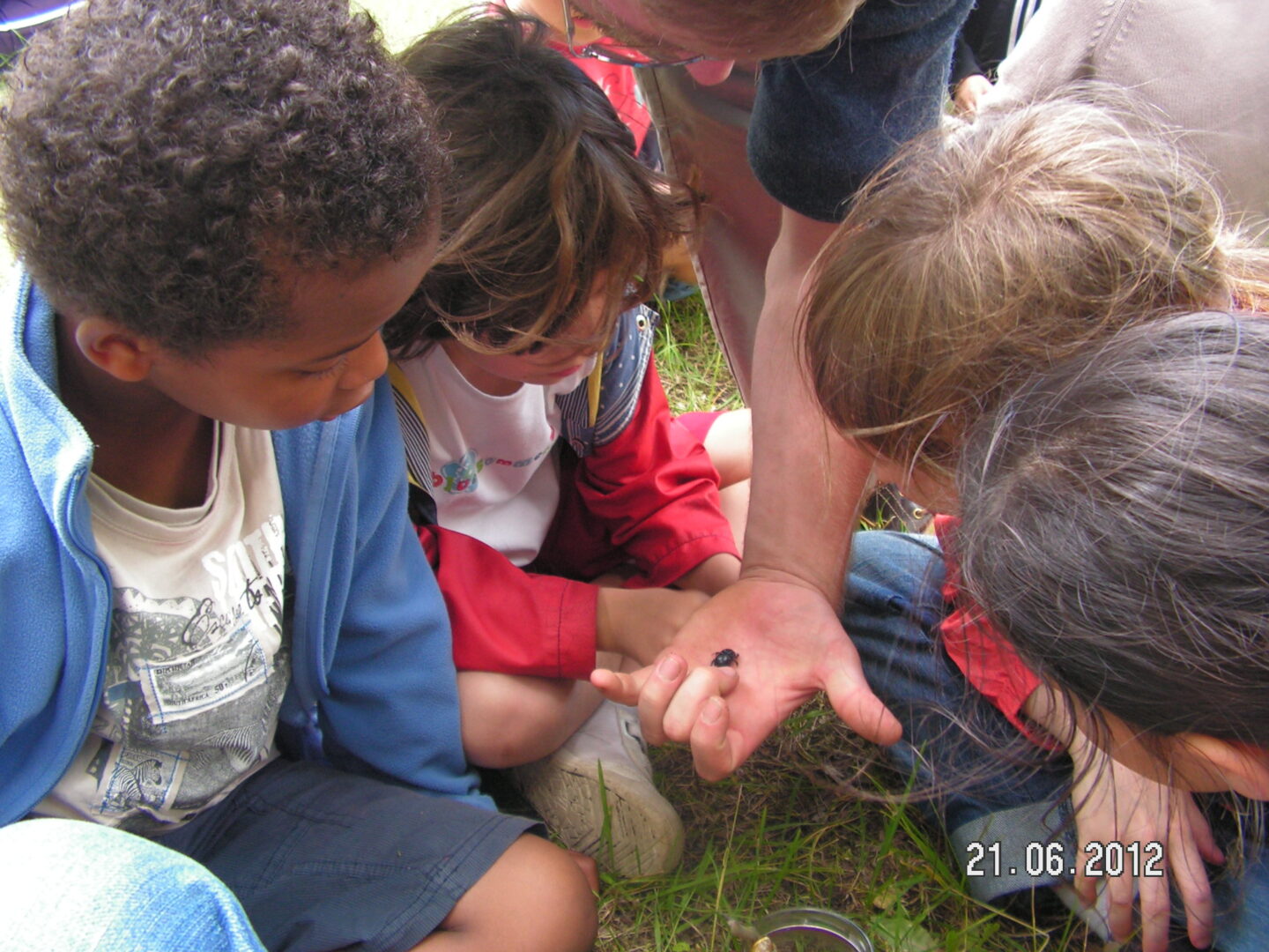 Atelier Petites Bêtes