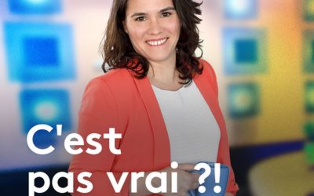 Atelier repérer les arnaques sur Internet Bibliothèque Jean d’Ormesson Paris Atelier repérer les arnaques sur Internet Bibliothèque Jean d'Ormesson Paris