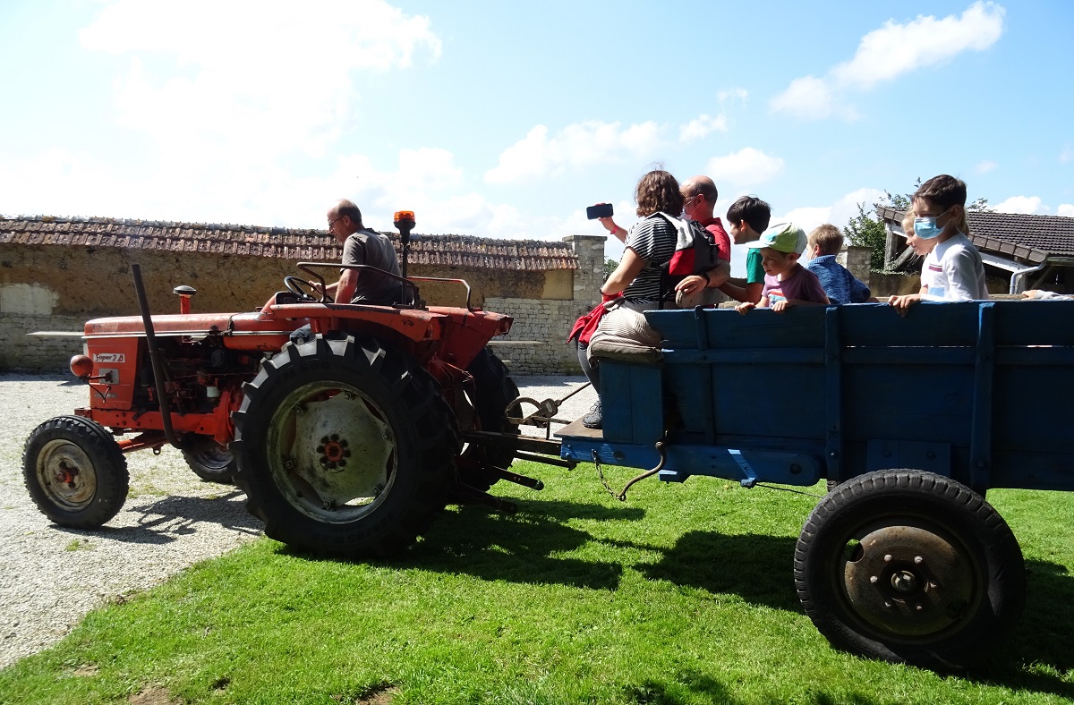 Balade en tracteur vintage Ferme-musée du Cotentin