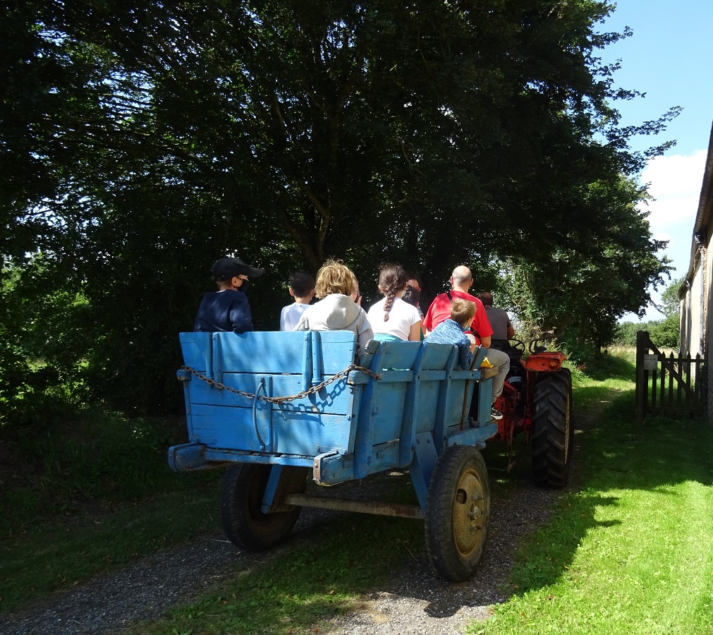 Balade en tracteur vintage Ferme-musée du Cotentin
