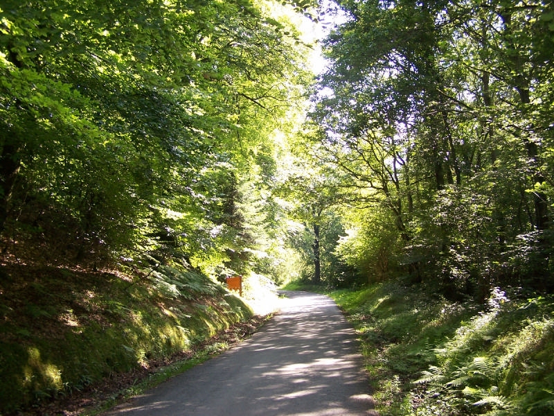 Balade Mystérieuses chouettes 28 le Hamel Pin Souleuvre en Bocage 2026-03-20 Balade Mystérieuses chouettes