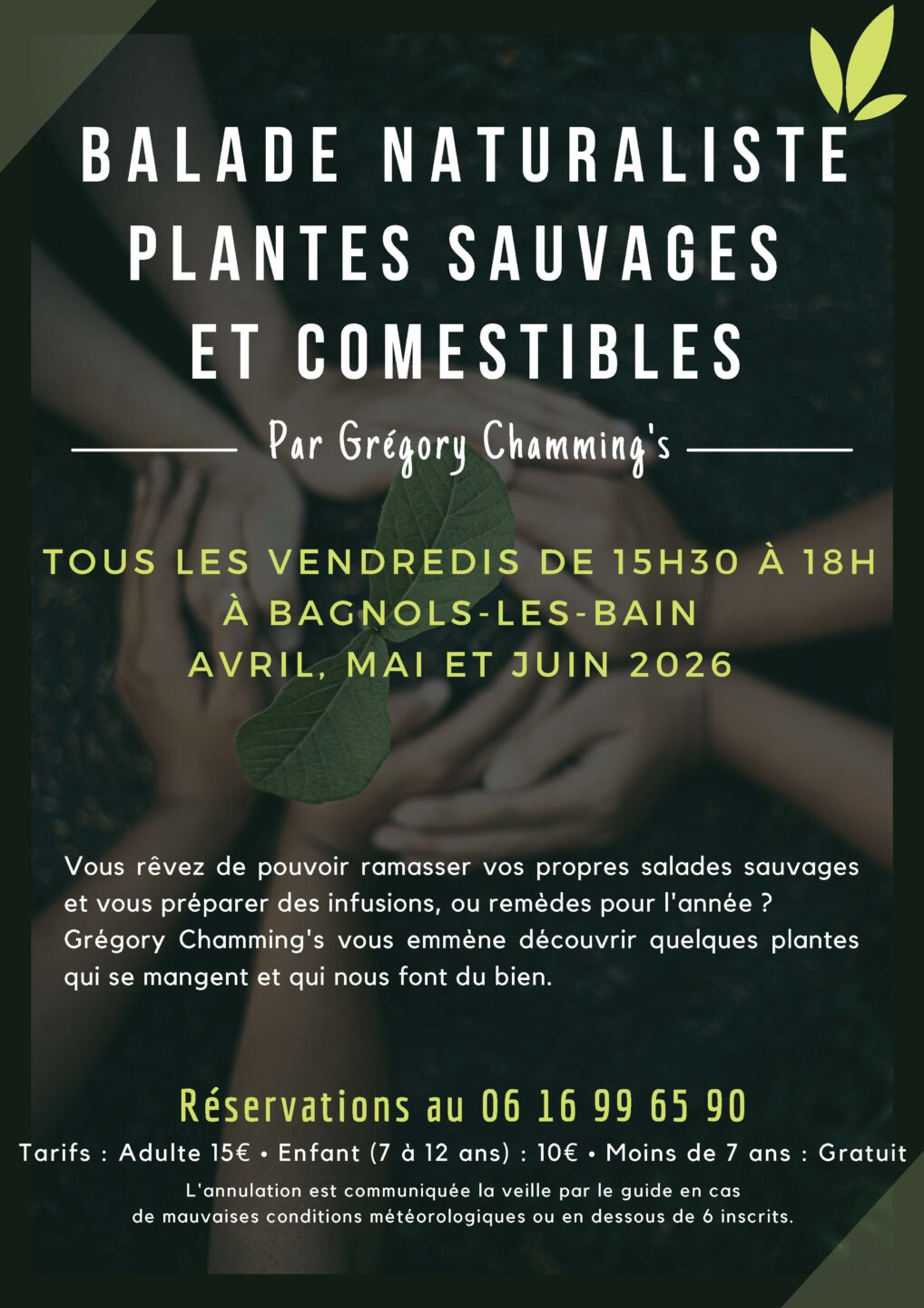 BALADE NATURALISTE PLANTES SAUVAGES ET COMESTIBLES