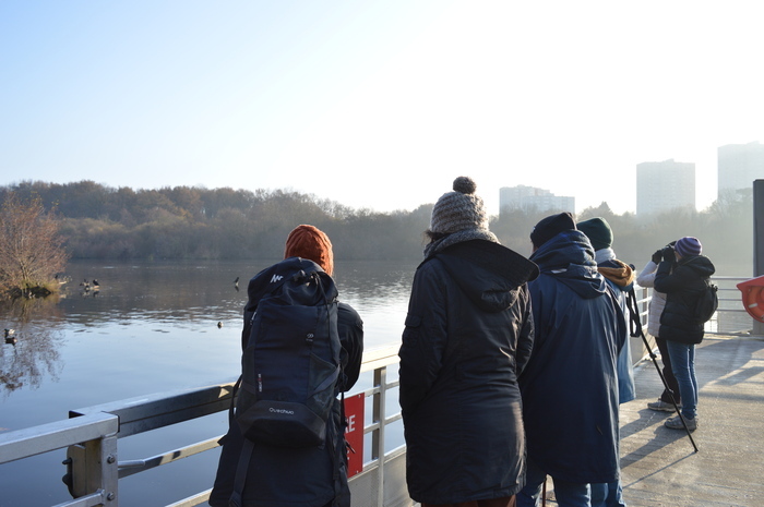 Balade ornithologique au lever de soleil sur les bords de l’Erdre Pont de la tortière