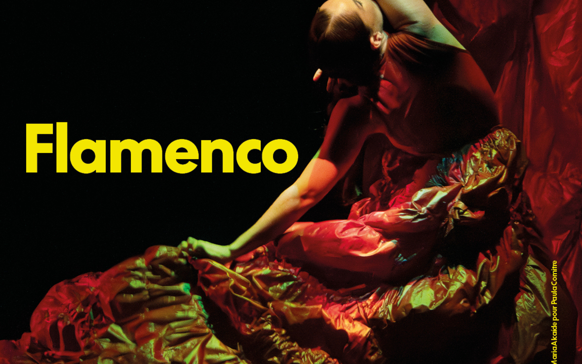 Chaillot Expérience Flamenco Chaillot – Théâtre national de la Danse Paris Chaillot Expérience Flamenco Chaillot - Théâtre national de la Danse Paris
