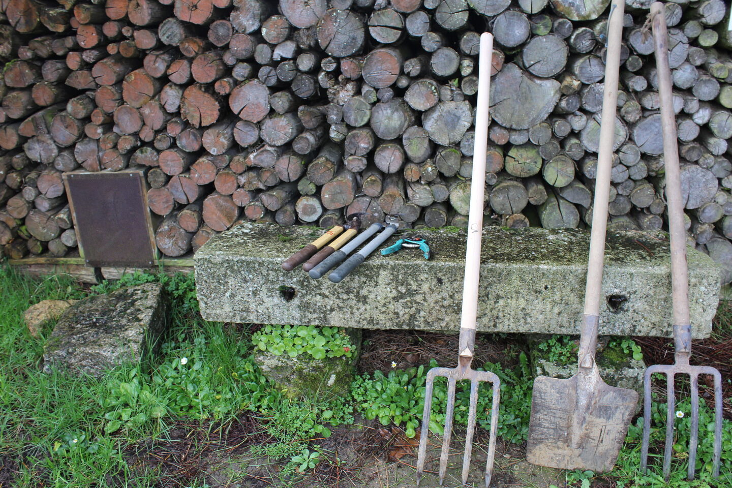 Chantier au jardin du Nombril