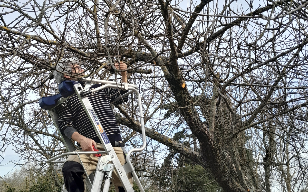 Chantier du verger Ferme de Paris  Paris