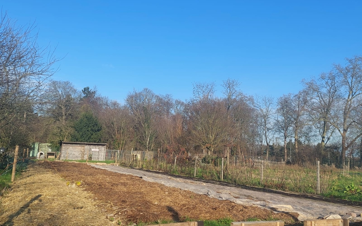 Chantier maraicher Ferme de Paris  Paris