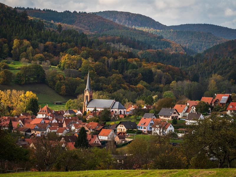 Chantier nature participatif