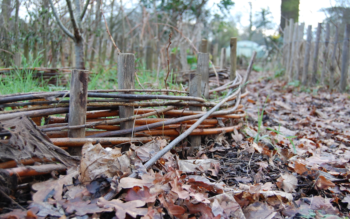 Chantier permaculture Ferme de Paris  Paris
