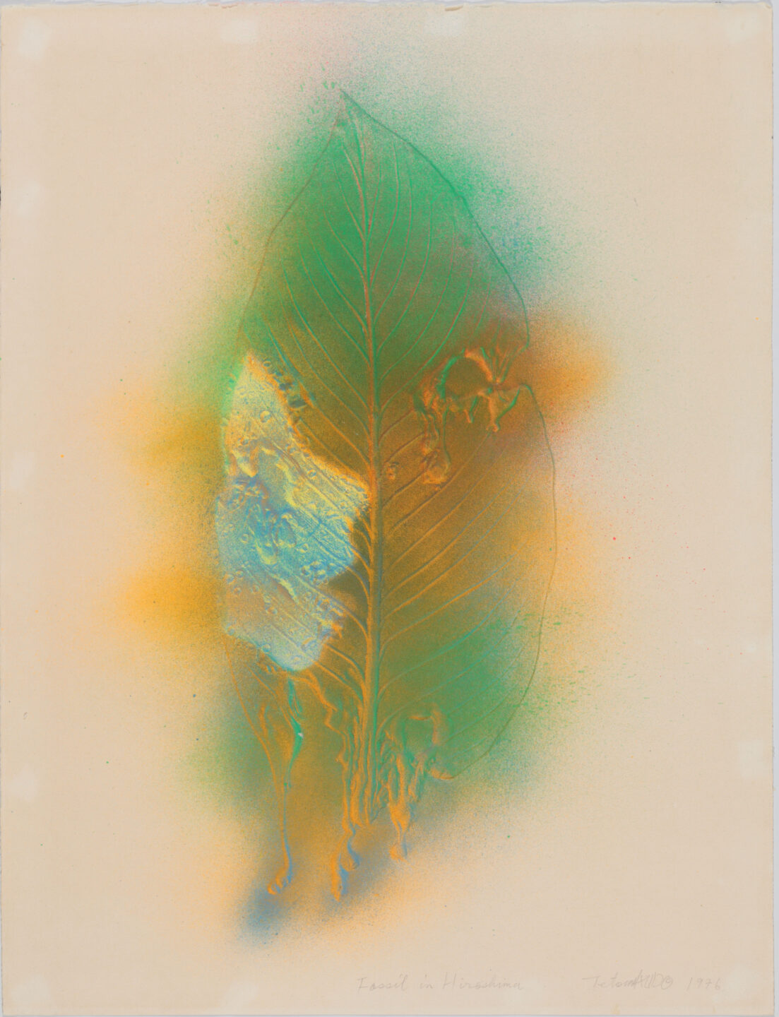 Chères créatures exposition collections dans les murs