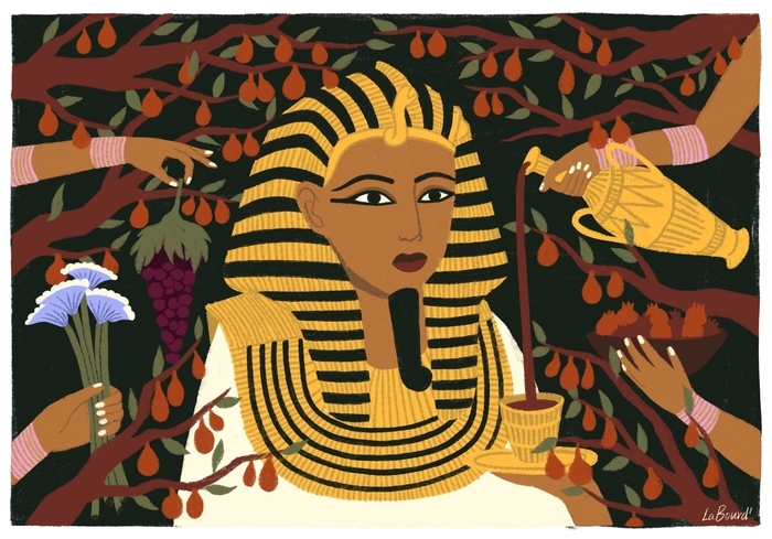 Chouette Conférence : qu’a-t-on trouvé dans le trésor de Toutânkhamon ? Auditorium des Champs Libres Rennes