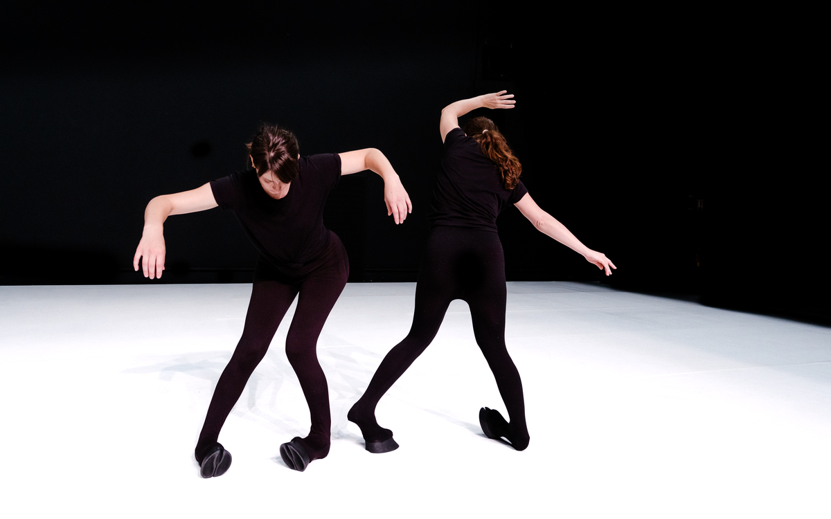 Christine Armanger - de dIAboli Atelier de Paris / CDCN  Paris