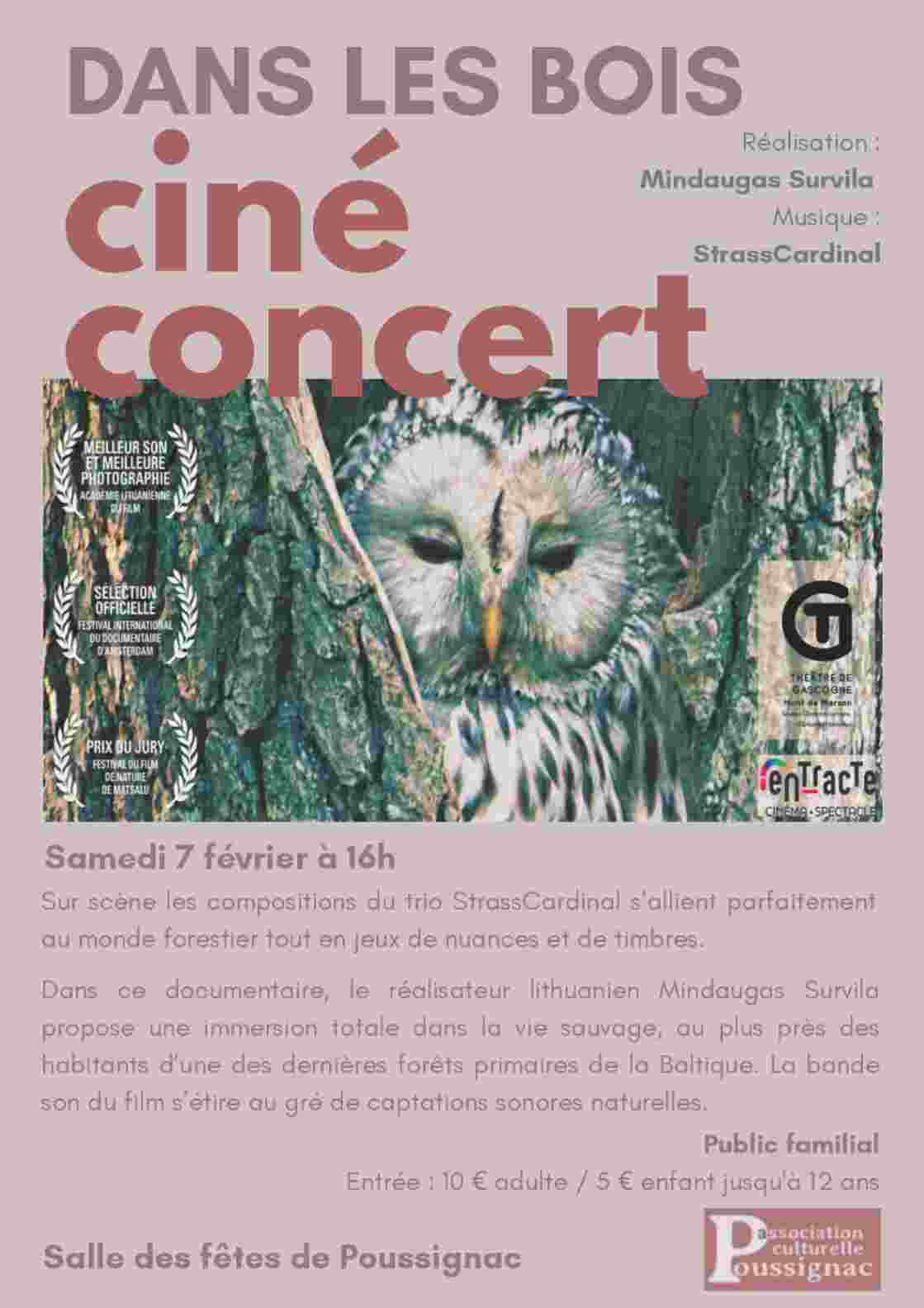 Ciné concert Dans les bois