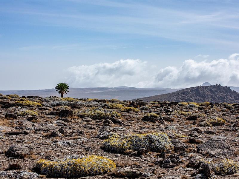 Ciné-conférence Éthiopie