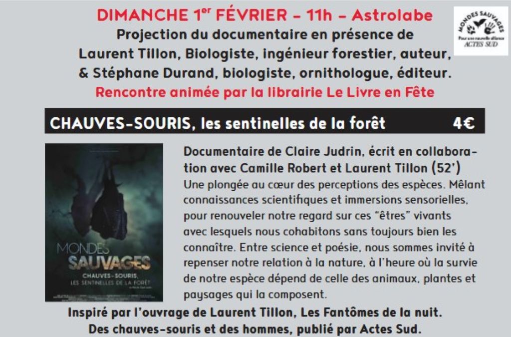 Ciné-rencontre à Figeac chauves-souris