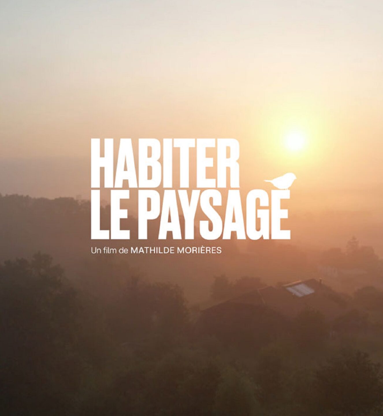 Ciné rencontre habiter le paysage