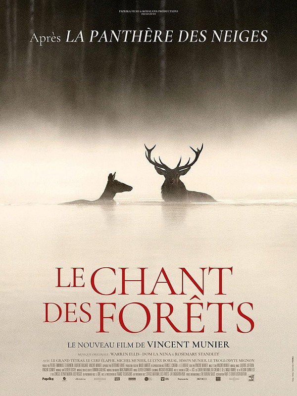 Cinéma à l'auditoire de Joinville Le chant des forêts