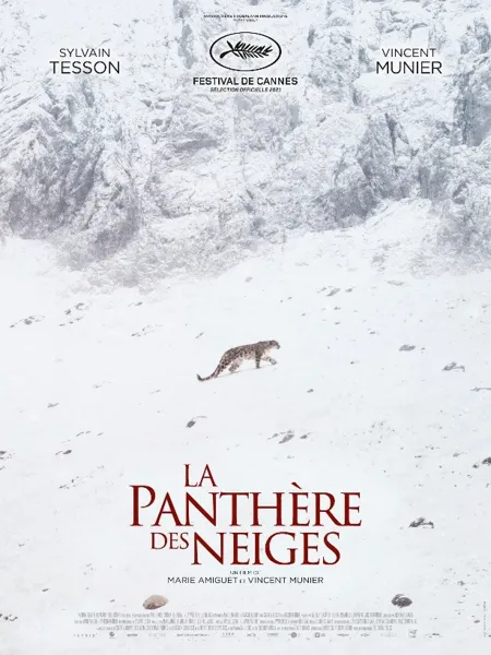 Cinéma la Panthère des Neiges