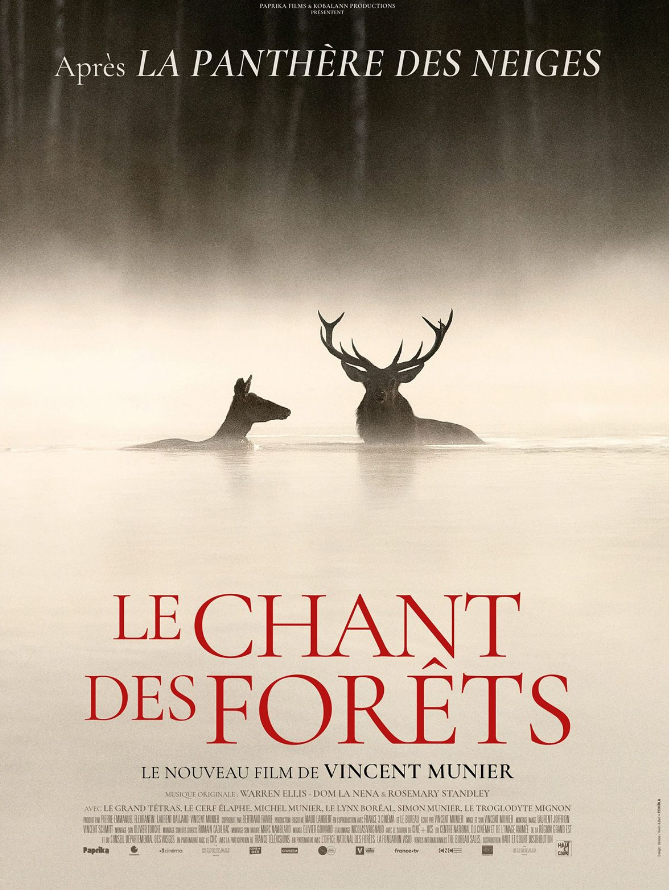 Cinéma Laruns Le Chant des forêts