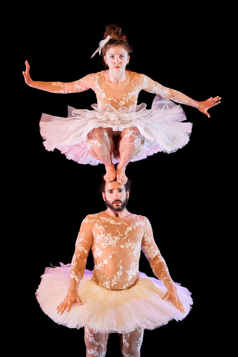 Cirque chorégraphié Le Lac des Cygnes de la compagnie L'Eolienne