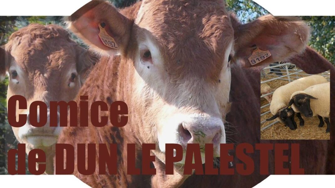 Comice agricole et brocante foire commerciale Dun-le-Palestel