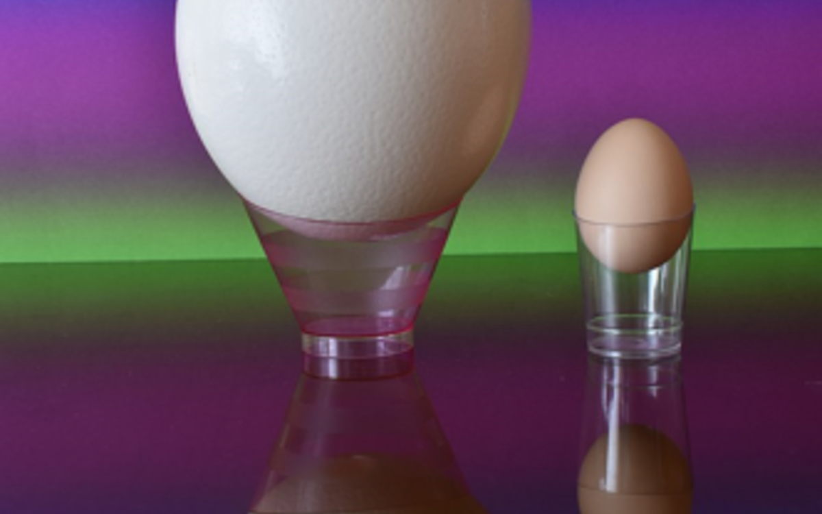 Comprendre la nature en la simulant Maison Paris Nature  Paris