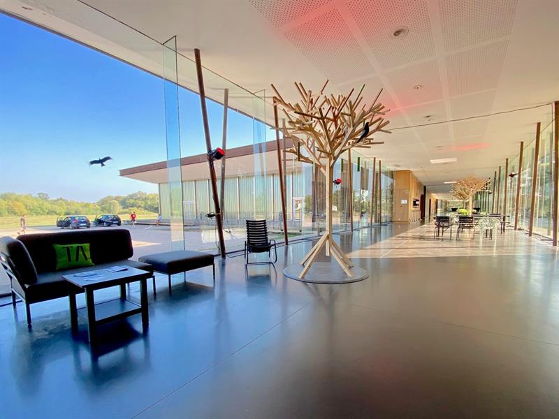 Concert des professeurs classique