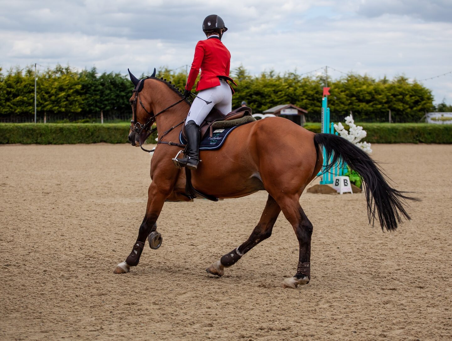 Concours de Saut d'Obstacles ACEVA