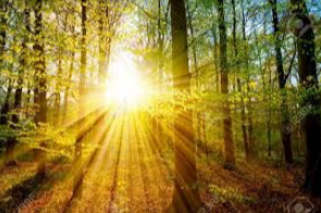 Concours photo 2026 Impression soleil levant ou couchant