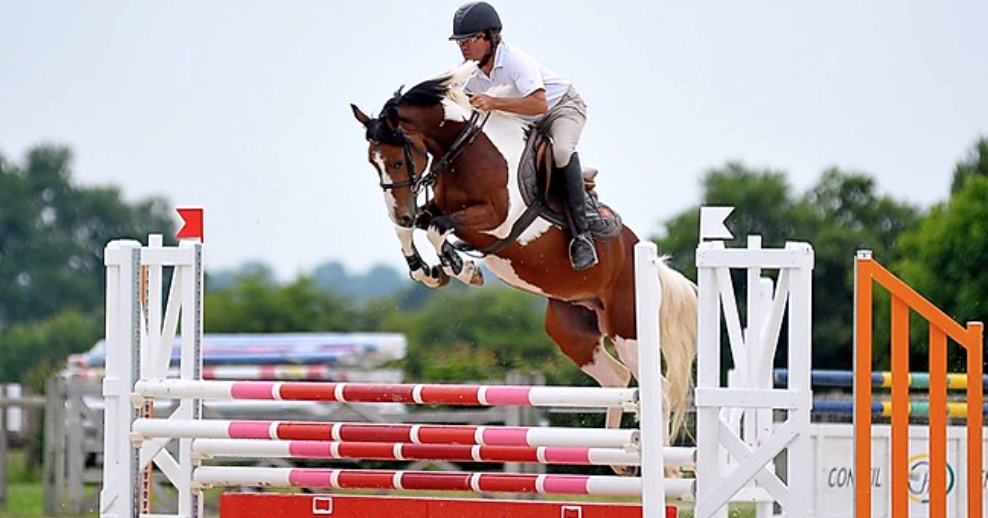 Concours Saut d'Obstacles professionnels