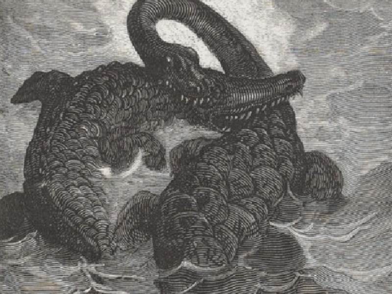 Conférence Sur les traces d'un combat de dinosaures