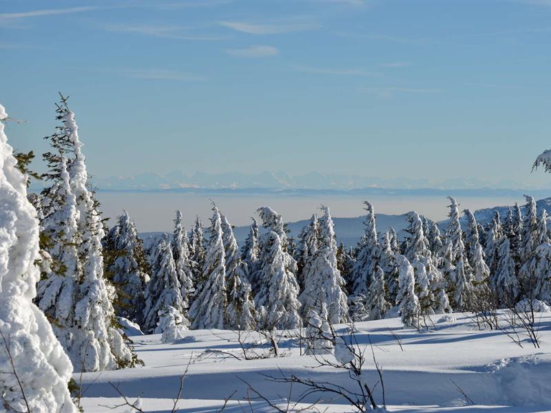 Contes et chants au coin de l'hiver
