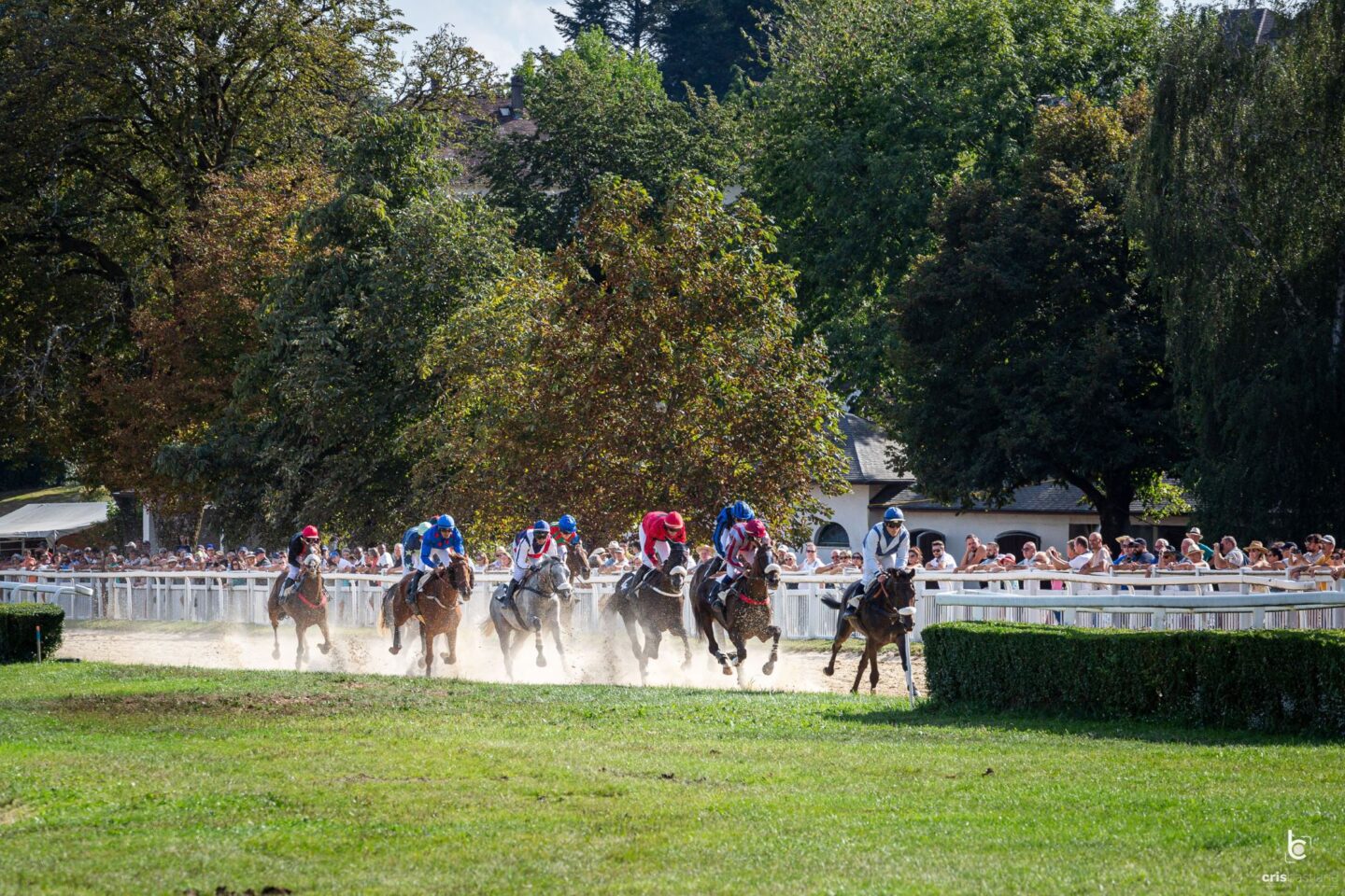Courses hippiques Brasero Party