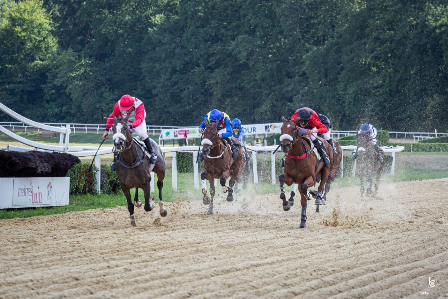 Courses hippiques fête des mères